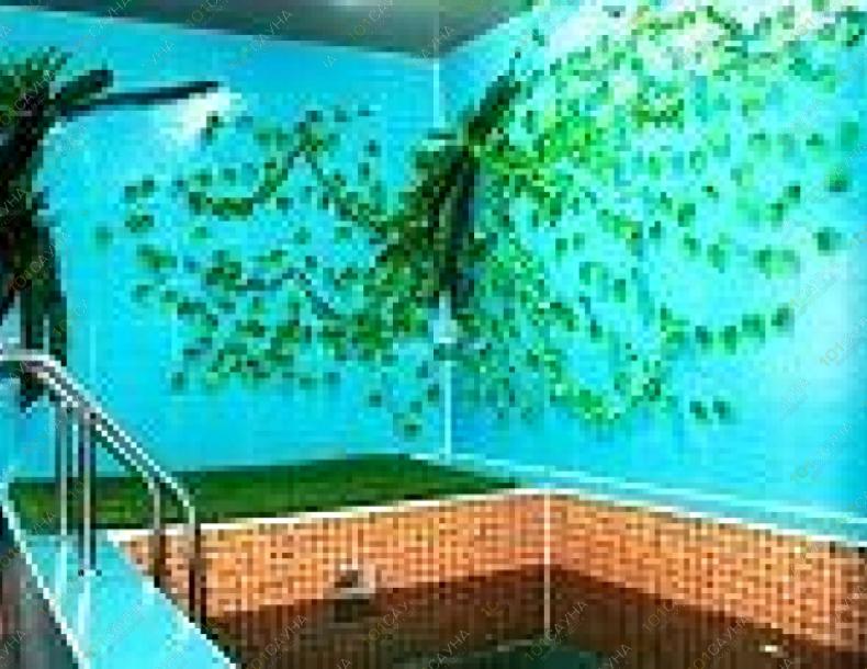 VIP сауна Акшаули, в Астане, Еркокше, 9/1 (по старой карагандинской трассе) |  | 101sauna.kz