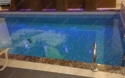 VIP сауна Almaty Resort, в Алматы, ул. Аскарова |  | 101sauna.kz