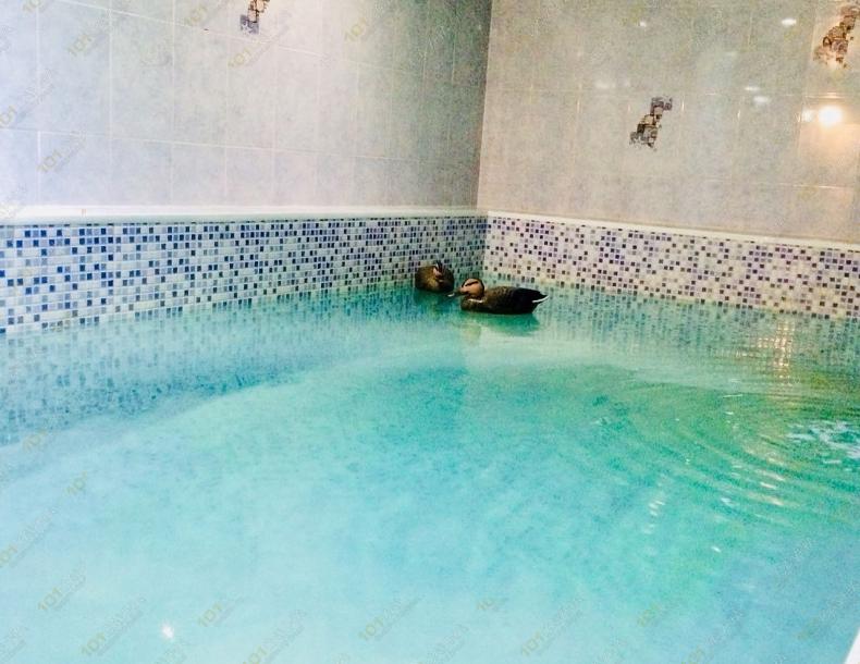 Сауна Фортуна, в Астане, Нур-Султан, Майкутова, 17 (Сарыарка) |  | 101sauna.kz